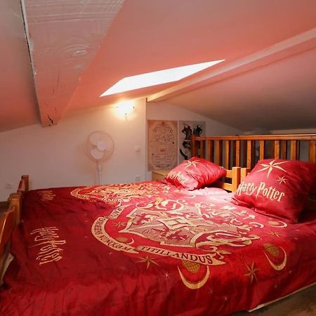 Апартаменти Harry Potter - Le Logis Du Petit Sorcier - Clim Каркассонн Екстер'єр фото